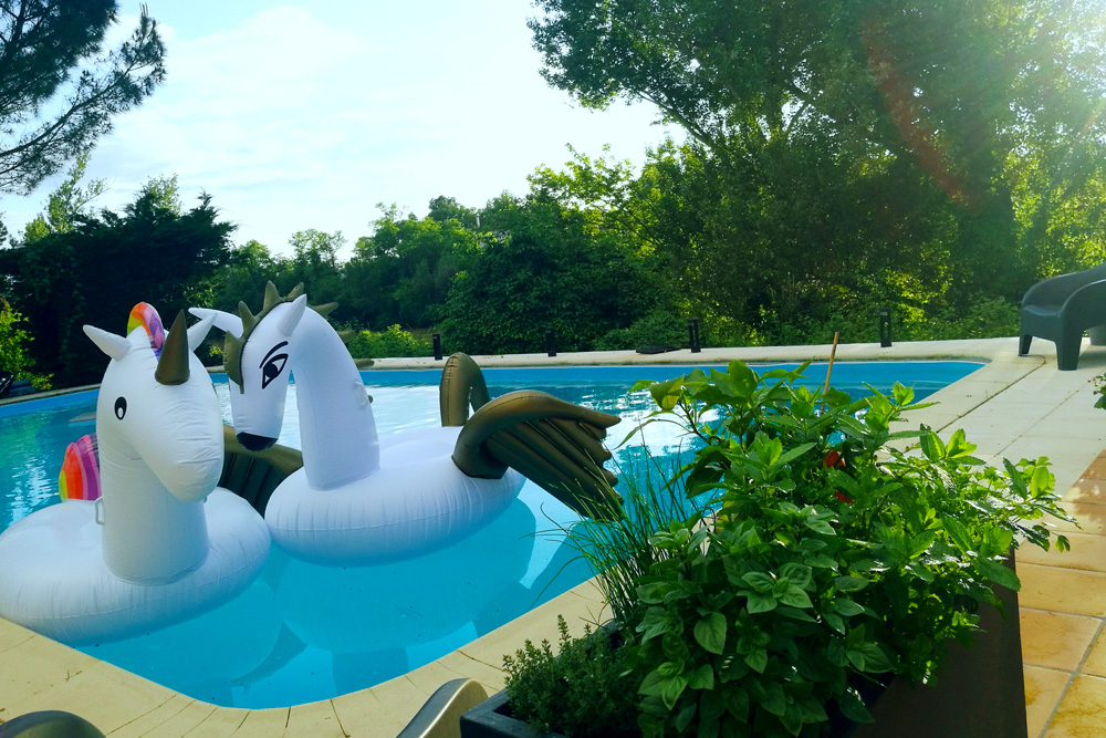 vente maison montauban